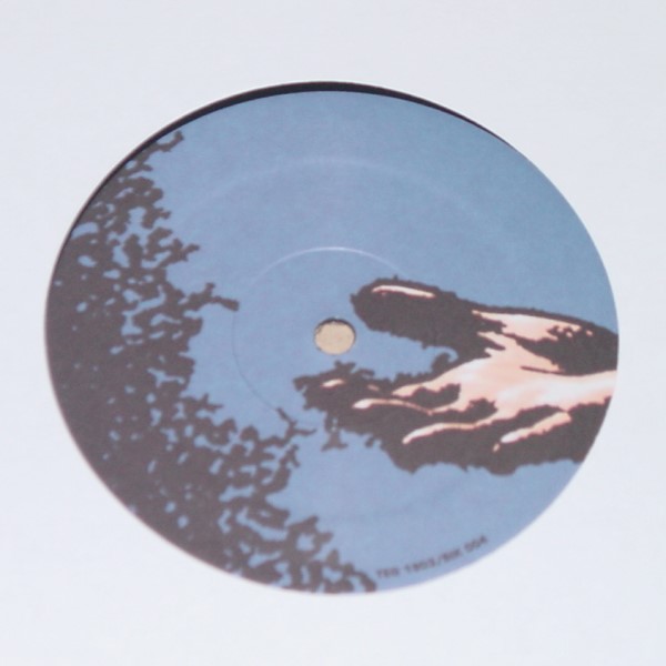 Viktor Vaughn / MF Doom - Rae Dawn / Change The Beat 12