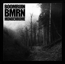 Boomruin/BMRN
