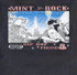 Mint Rock